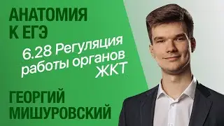 6.28. Регуляция работы органов ЖКТ: нервная и гуморальная | Анатомия к ЕГЭ | Георгий Мишуровский