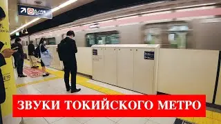 ЗВУКИ ТОКИЙСКОГО МЕТРО