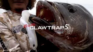 A trap hidden in the body : ClawTrap5"