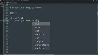Check for a null string in Python ?