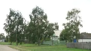 Село Языково. Путь паломника