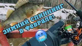 Как ПОЙМАТЬ пассивного окуня зимой на спиннинг?