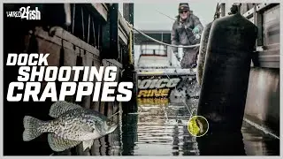 How to Dock Shoot Crappies | 7 Tips + Best Docks and Gear‼️