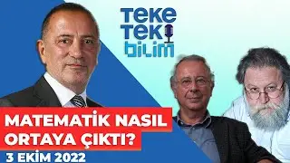 Matematik nasıl ortaya çıktı? - Teke Tek Bilim