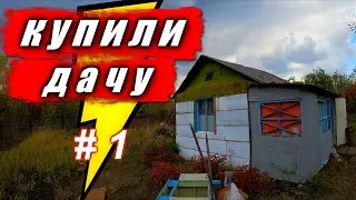 #1 Купили заброшенную дачу! Обзор участка. С чего начать?