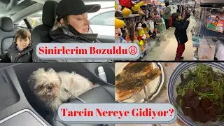 Testler Negatif! Tarcin Gidiyor!Cok Daginik!Sinirler Bozuk! Noterle Gorustuk!