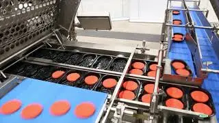 Оборудование для мясных полуфабрикатов VEMAG