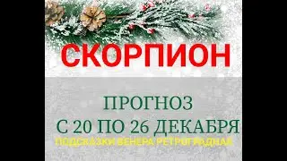 ♏ СКОРПИОН. Таро прогноз на неделю 20 - 26 ДЕКАБРЯ. Ретроградная Венера подсказки.