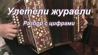 Улетели журавли (гармонь) А ты прости меня.