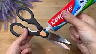 Put toothpaste on the scissors!!  😱 He didn't expect it to be so effective