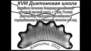 Диатомовые водоросли Новосибирского водохранилища как показатели качества его вод