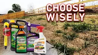 Dont Pick the Wrong Weed Killer or You Might Regret It // How To Kill Weeds 3 Ways With Spectracide