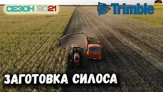 ЗАГОТОВКА СИЛОСА 2021