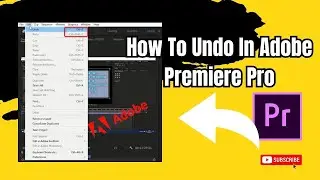 How to undo in adobe premiere pro (Easy 2024)