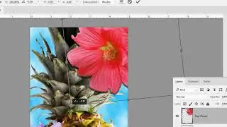 Using the Transform Feature in Adobe Photoshop