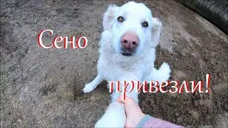 Доживем до травы. Жизнь на Лесном Хуторе.