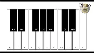 How to Create a Piano in Adobe Animate