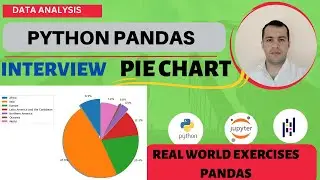 Data Analysis with Python Pandas - Real-World Pie Chart Examples (Interview)