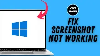 How to Fix Screenshot Not Working on Windows 11