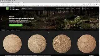 Quixel Suite 2 MegaScans First Look