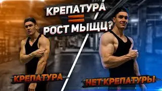 Боль В Мышцах = Рост Мышц? Крепатура После Тренировок И Мифы 16+