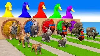 5 Giant Duck Cartoon,Tiger,Cow,chicken,Elephant,Rabbit,Buffalo Wild Animals Crossing Fountain 2023