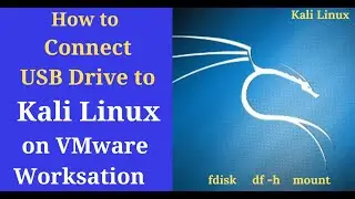 How to connect USB Drive to Kali Linux on VMware Workstation | Mount USB drive in Linux