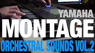 Yamaha Montage Orchestral Sounds Vol.2