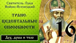 16/24 Трансцедентальные духовные способности. Ч.1 ☦️ Лука Войно-Ясенецкий