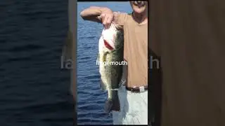 Biggest fish caught in Massachusetts