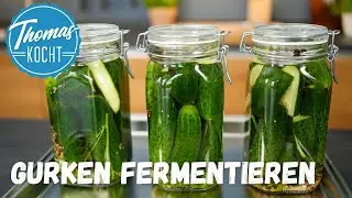 Fermentierte Gurken - super lecker und gesund!