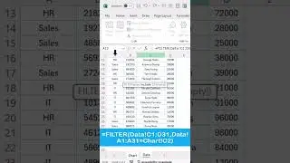 Dynamic Chart with Filter Function in Excel #exceltips #excelcharts #exceltemplates