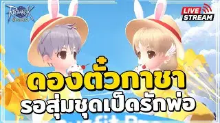 🔴 Ragnarok Origin (Global) | EP.58 HHH ทานาทอส / ดองตั๋วกาชา รอสุ่มกาชาชุดเป็ดรักพ่อพรุ่งนี้ !