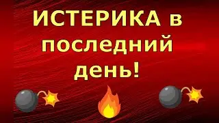 Новый день / Лена LIFE / ИСТЕРИКА в последний день! / Обзор влогов