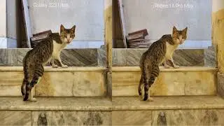 Camera Comparison between Galaxy S23 Ultra & iPhone 14 Pro Max Apple