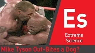 Can Mike Tyson Out-Bite an Attack Dog? | Sport Science