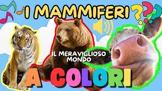 🐻Video educativi per bambini🦊 - I MAMMIFERI🍼 - Conosciamo Gli Animali - 5 Curiosità Sui Mammiferi