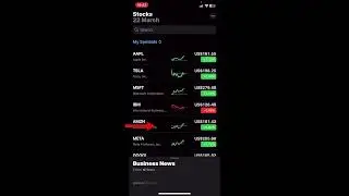 Tesla stock explanation - Apple Stocks app