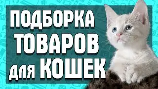 ТОП ПОДБОРКА САМЫХ КРУТЫХ ТОВАРОВ ДЛЯ КОШЕК с ALIEXPRESS!🐱 Лучшее для питомцев с АЛИЭКСПРЕСС!