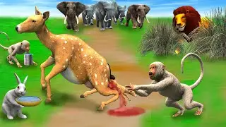 गर्भवती हिरण का बच्चा बंदर और शेर का हमला Garbhavati Hiran Bandar aur Sher Ki Kahani Deer and Lion