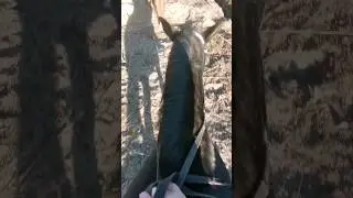 конная прогулка🏇🏻 