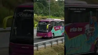 Hunting Bus Di Jalan Tol Trans Jawa
