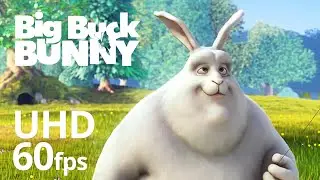 Big Buck Bunny 60fps 4K - Official Blender Foundation Short Film