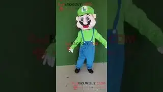 Luigi Famous Mario Mascot Costume