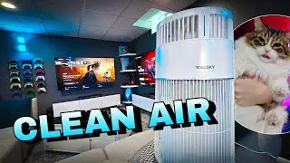 How I MANAGE CATS in my GAMING SETUP 🐈🎮 - WISESKY Air Purifier REVIEW