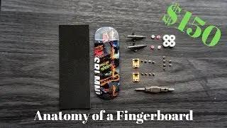 $150 Fingerboard Complete Anatomy and Setup