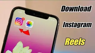 How to Save Instagram Reels in iPhone Camera Roll