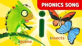 Learn the letter i | Phonics song | Words that start with the letter i