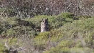 A Day and a Half at Point Reyes