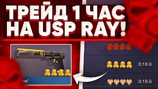 ТРЕЙД БАГОМ на USP 